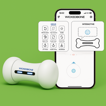 WickedBone – Pametna interaktivna kost za pse