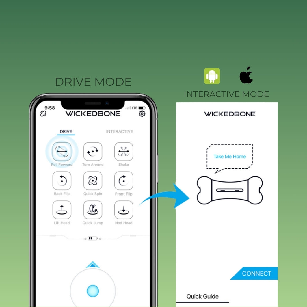 WickedBone – Pametna interaktivna kost za pse