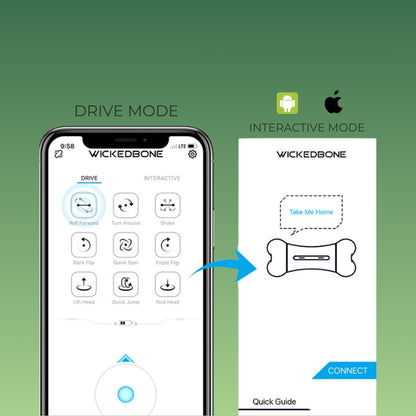 WickedBone – Pametna interaktivna kost za pse